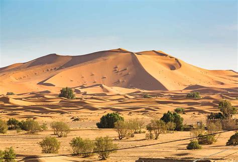 Interesting Desert Facts for Kids
