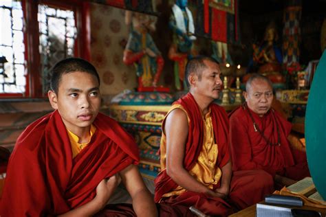 Two Monk in Orange Robe Walking Down the Concrete Stairs · Free Stock Photo