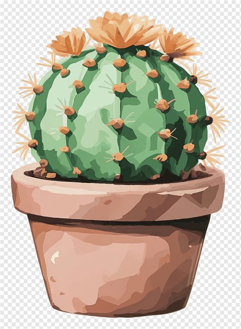 кактус, png | PNGWing