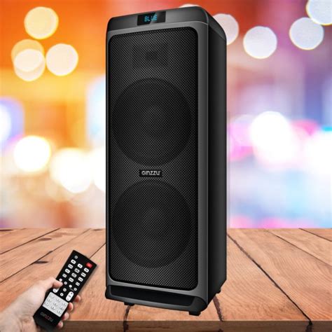 Акустическая система GINZZU GM-205 GM-205* — купить по низкой цене в ...