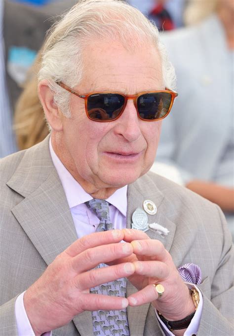 Charles ‘remains politically neutral’ despite reported comments on ...