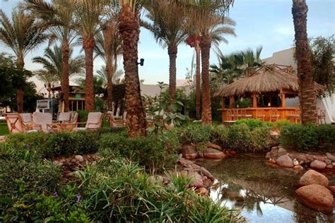 Туры в отель Jaz Fayrouz Resort 4* (Египет, Шарм-эль-Шейх) - цена, фото ...