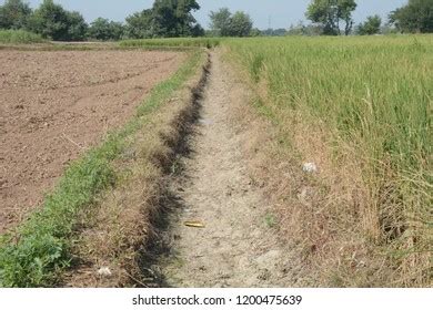 empty water drain irrigation system stock photo  shutterstock