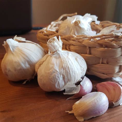 Moro-Suppe: Wundermittel bei Durchfall (meine Erfahrung