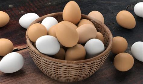 Японці вивели курей, які несуть гіпоалергенні яйця – AgroNews