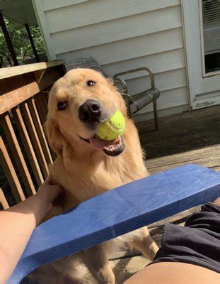 PET EMERGENCY TREATMENT - Updated December 2025 - 17 Photos & 130 ...