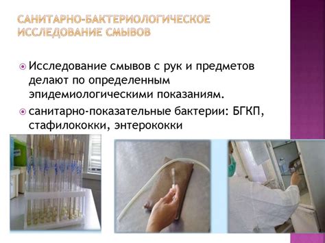 Санитарная микробиология - презентация онлайн