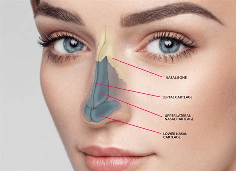 Anything want to know about Nose operation | Healing Clinic Turkey
