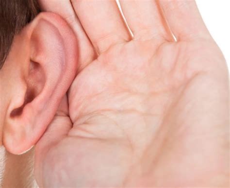 scratching sound  womans ear leads  horrific discovery