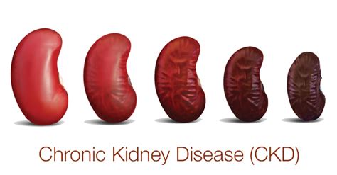 www.shinonmed.mn