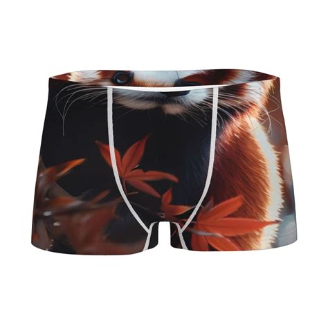 Logiee Red Panda Autumn Branches Print Boys' Boxer Briefs,Tween Boy