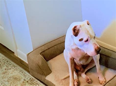 Best Category 5 Hurricane Posts - Reddit