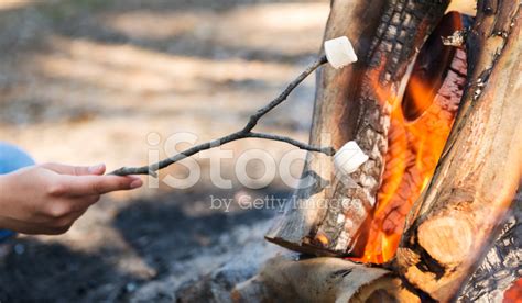Roasting Marshmallows Stock Photo – Royalty-Free Images | FreeImages