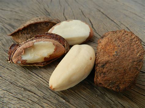 Para Que Serve A Castanha Do Pará - Castanha Do Pará E Seus Benefícios: Para Que Servem Suas – JFTU