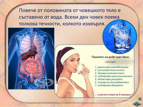Човешкото тяло - презентация онлайн