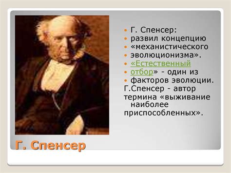Проблема человека в философии - презентация онлайн