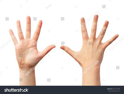 15,430 Give Hand Front Images, Stock Photos & Vectors | Shutterstock