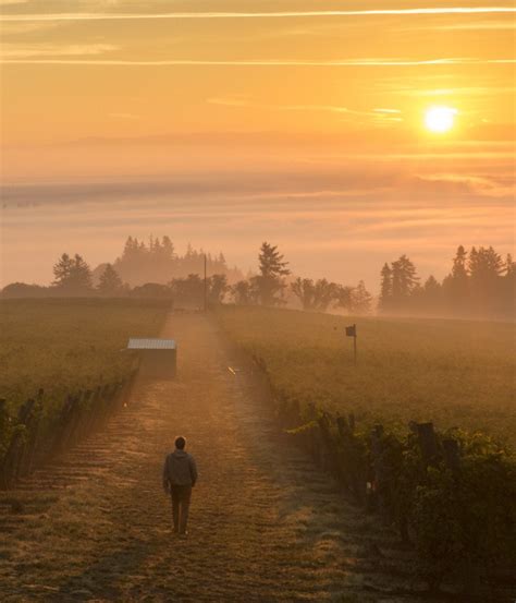 Yahoo Finance Willamette Valley Vineyards