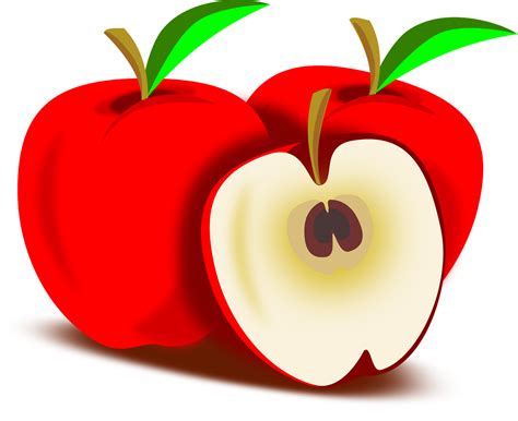 apple vector png