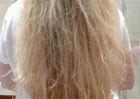 Damaged Hair From Bleach
