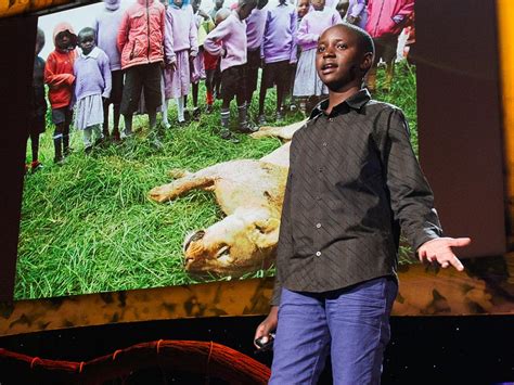 richard turere  invention   peace  lions ted talk