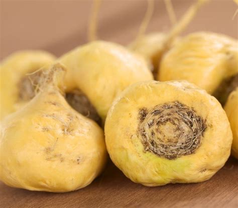 Benefits Of Maca To Menopausal Women | Redefining Menopause