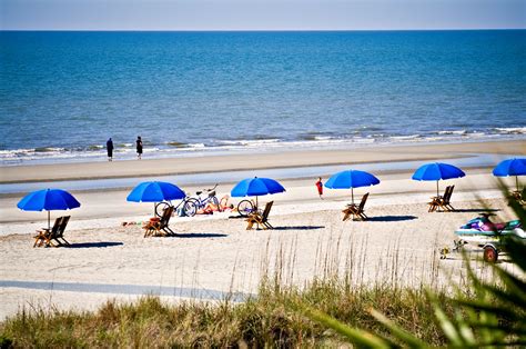 Great Blog! 10 Reasons to live in Coastal South Carolina! | Hilton head