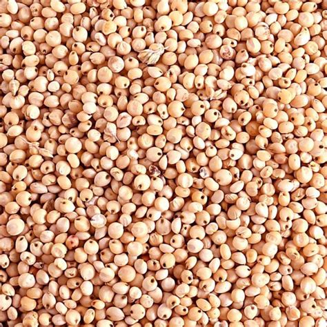 Продукти – AGROS Grain group
