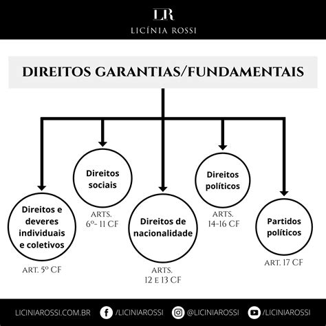 As Normas Definidoras Dos Direitos E Das Garantias Fundamentais - * Direitos e Garantias Fundamentais – Licínia Rossi