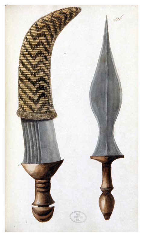 The drawings of Sarah Stone - pages 91 to 137 - The Australian Museum