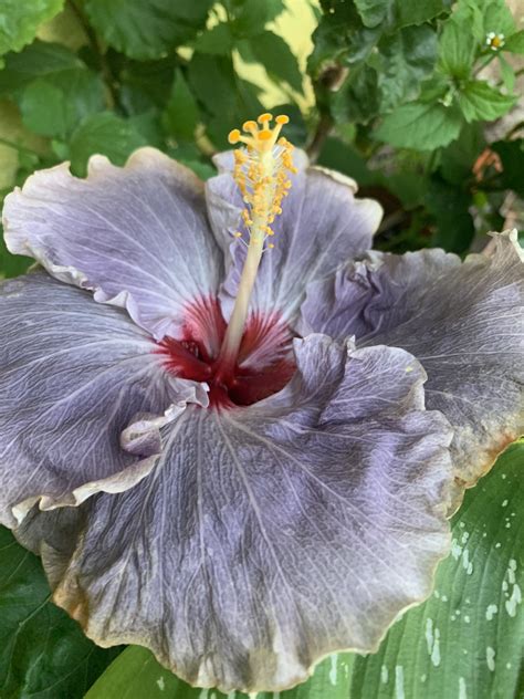 ᎷᎪᎡᎢᏆNᎪ on Twitter: "Boat day 😈😈 https://t.co/FB2KetcA91" / Twitter