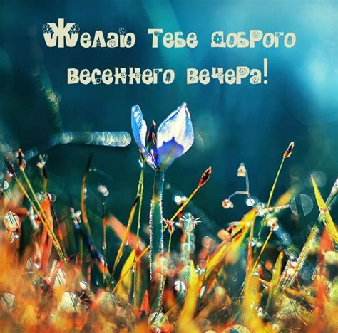 Картинка: Желаю тебе доброго весеннего вечера!