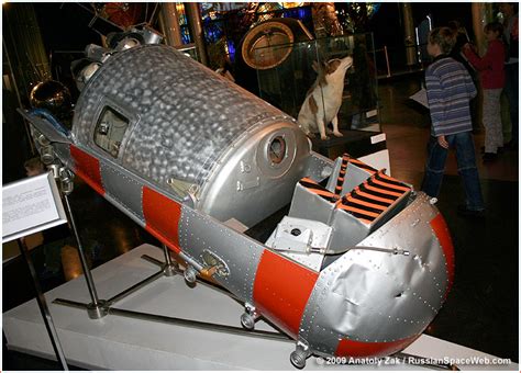 Belka and Strelka pioneer a two-way trip to orbit