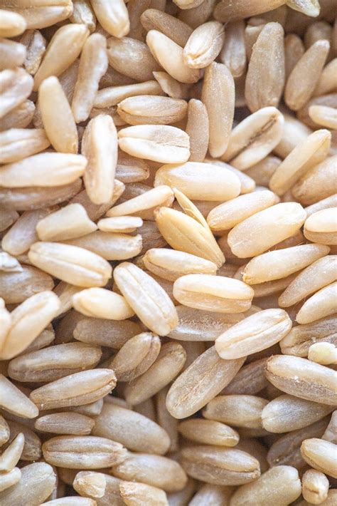 Breakfast Oat Groats Instant Pot Recipe - A Red Spatula
