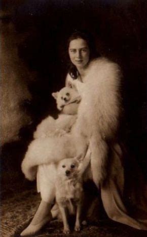 18 Pomeranian History ideas | pomeranian, vintage dog, pomeranian dog