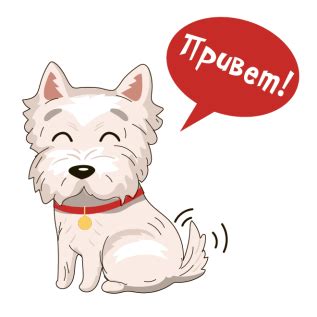 Та самая болонка