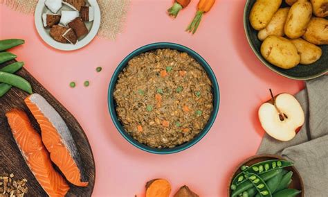 sensitive salmon dog food  apple creamy coconut sweet potato