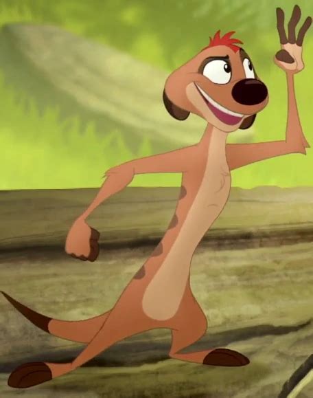 Timon | The Lion King: Revisited Wiki | Fandom