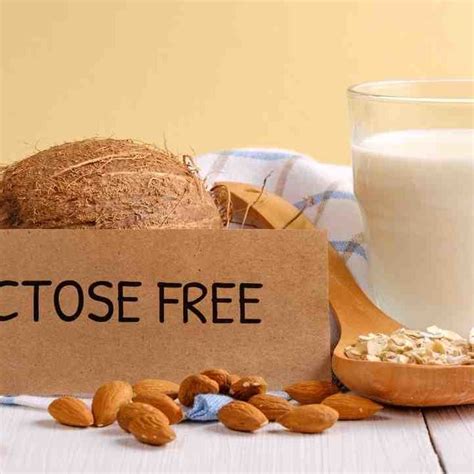 Can You Cook With Lactose Free Milk – Power Up Cook