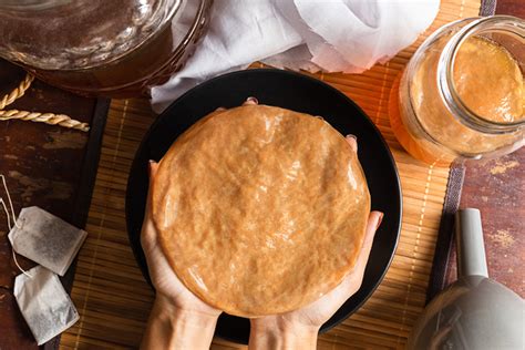 Scoby de Kombucha : Recette et Conseils - Atelier Fermentation