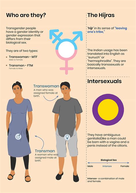infographics  transgender community behance