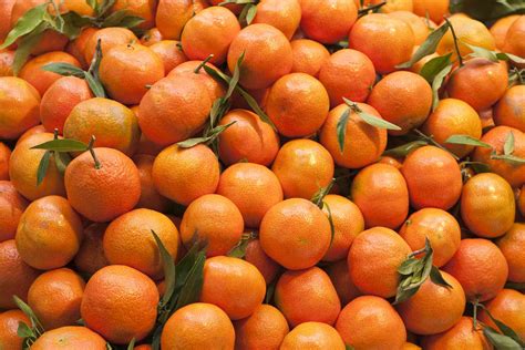 15 Juicy Facts About Oranges You Didn't Know - OhMyFacts