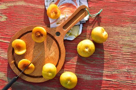 Growing Apriums: How to Plant, Care For, and Harvest These Tasty Hybrids