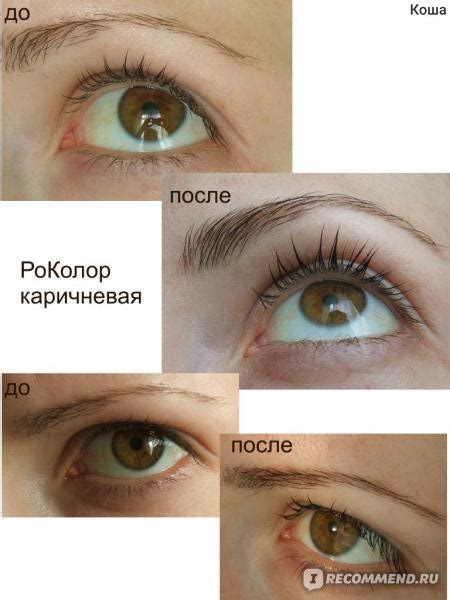 Краска для бровей и ресниц Роколор Мягкая гипоаллергенная ...