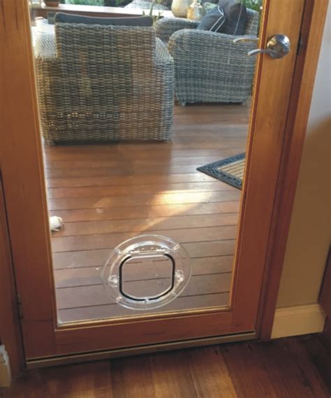 Dog Door Insert Adelaide at Curtis Bollinger blog