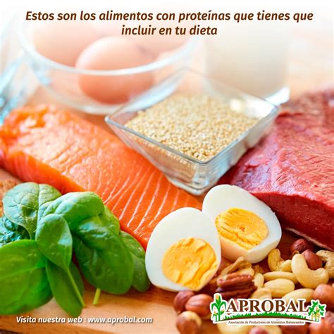 Que Son Las Proteinas Images