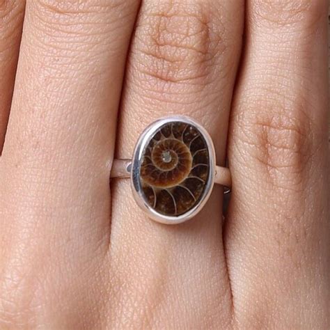 Ammonite Jewelry - Etsy