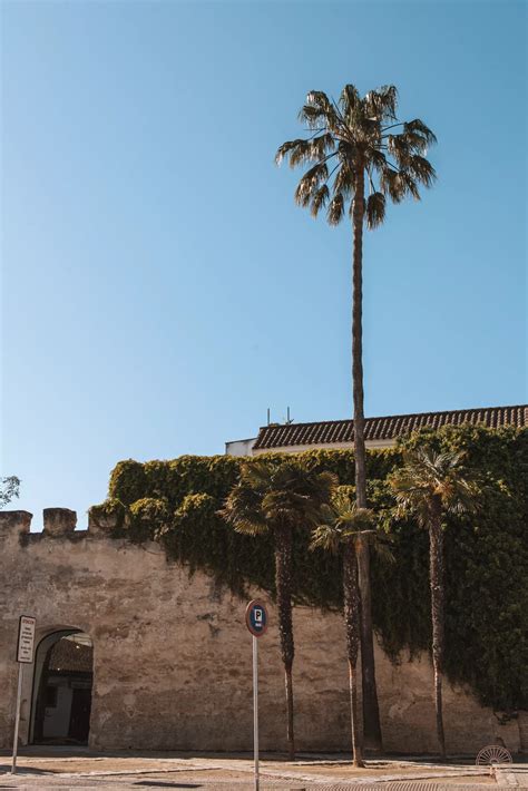 One Day in Jerez: What Should You Definitely Not Miss?