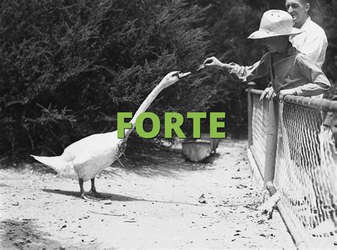 FORTE Meaning » Slang term definition & example usage » Slang.org