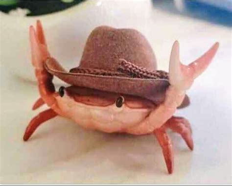 Happy crab with hat of happiness Blank Template - Imgflip